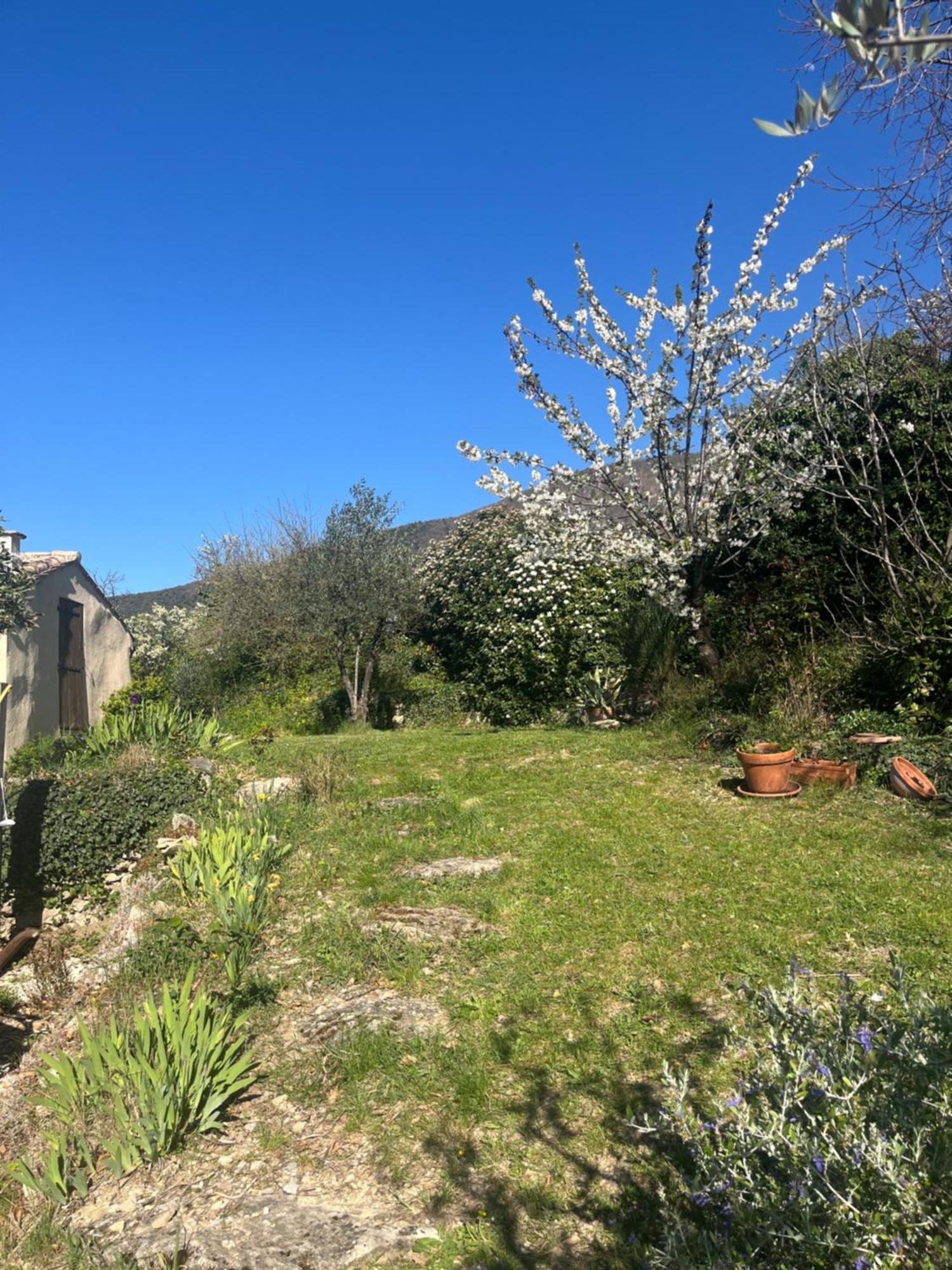 Cabanon Entoure De Montagnes Et D'Oliviers Villa Nyons Exterior foto
